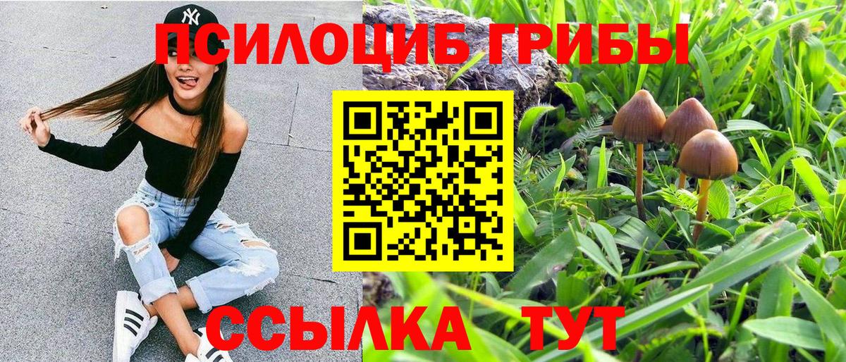 Псилоцибиновые грибы прущие грибы Красноярск